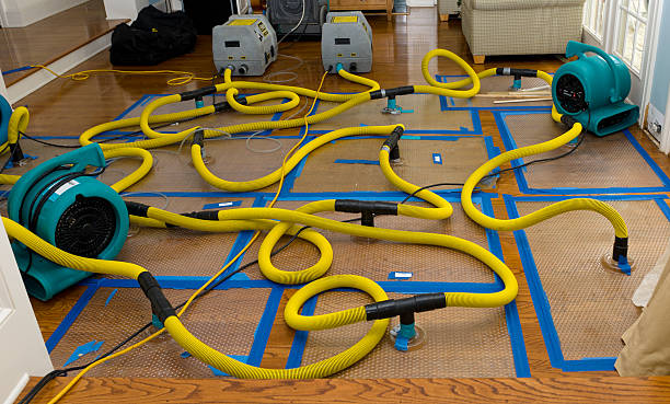 Professional Crawl Space Water Removal technician working in Middleton, MA
